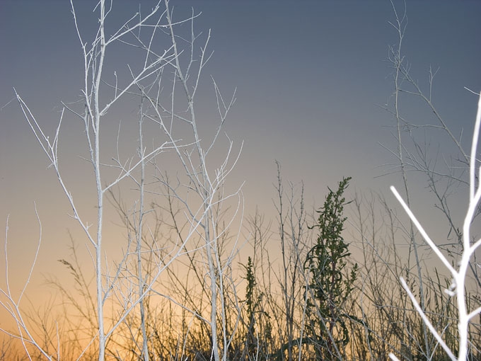 Dusk02.jpg