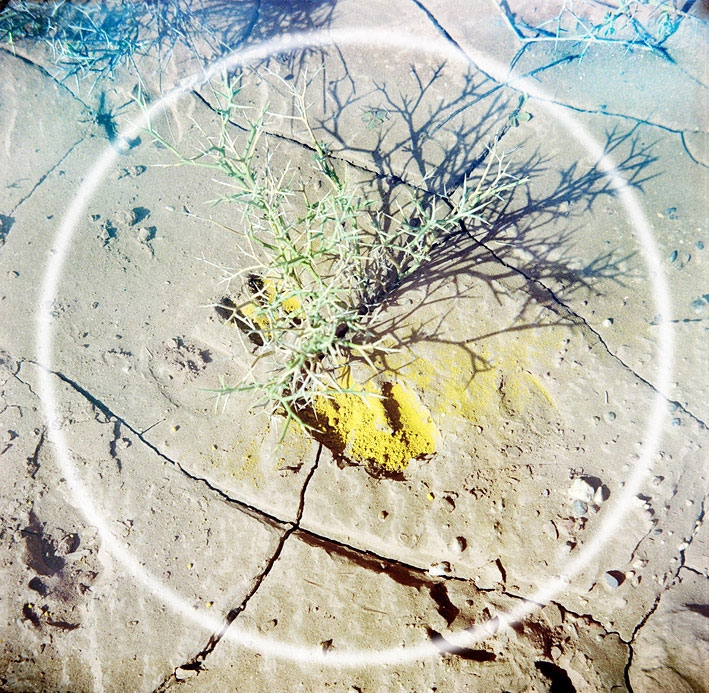 desert2.jpg