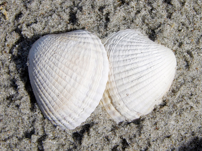 BeachMeditation02.jpg