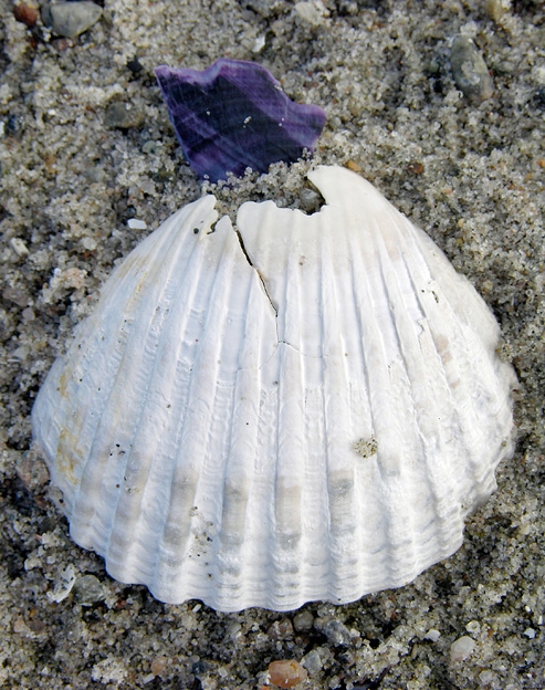 BeachMeditation05.jpg
