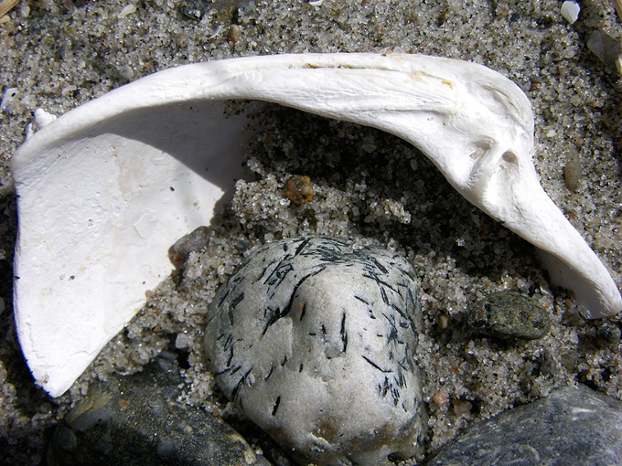 BeachMeditation08.jpg