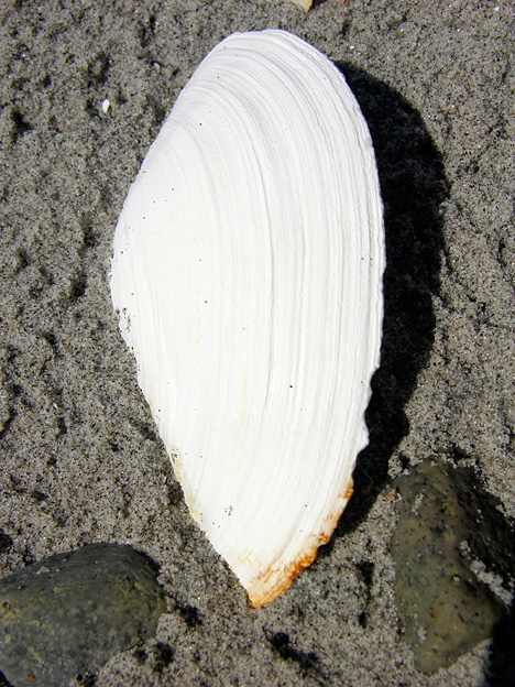 BeachMeditation11.jpg